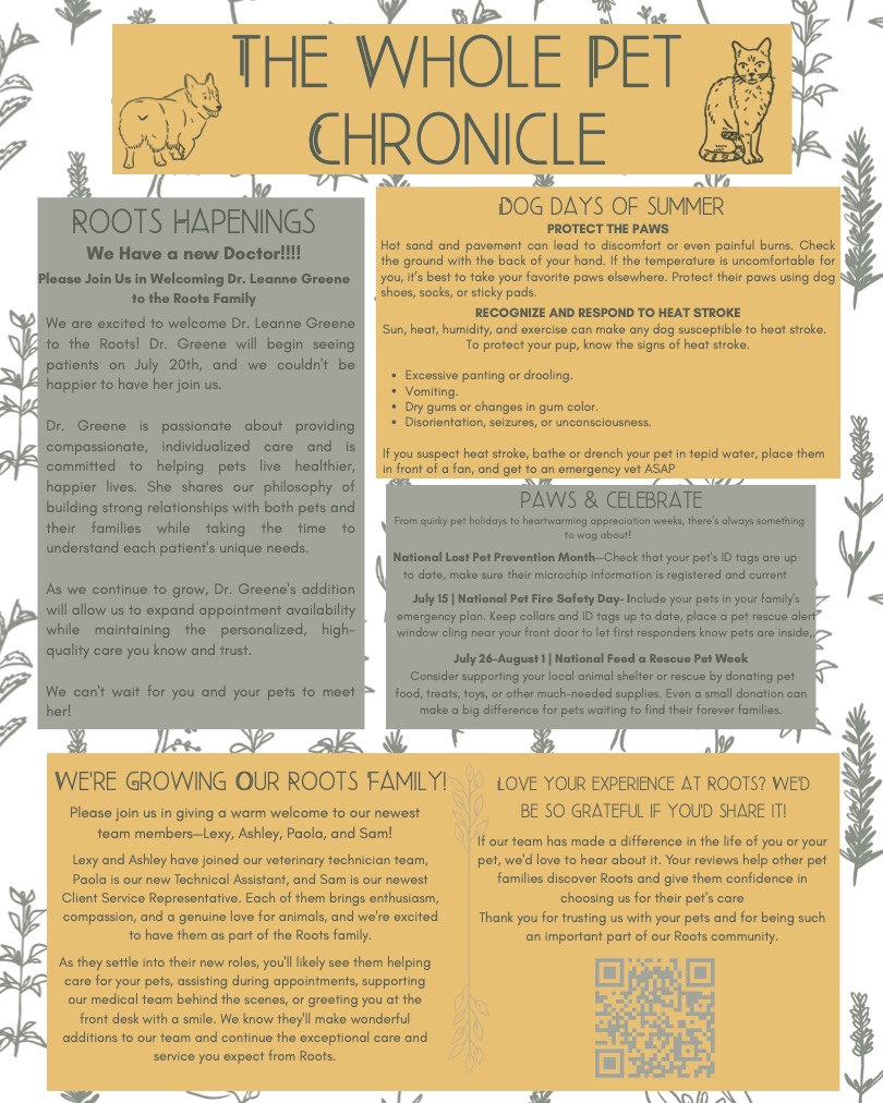 July 2026 Newsletter